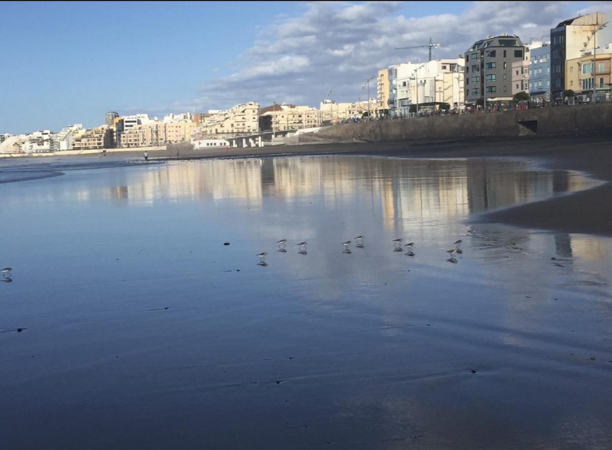 Las Canteras Beach لاس بالماس دي غران كاناريا المظهر الخارجي الصورة