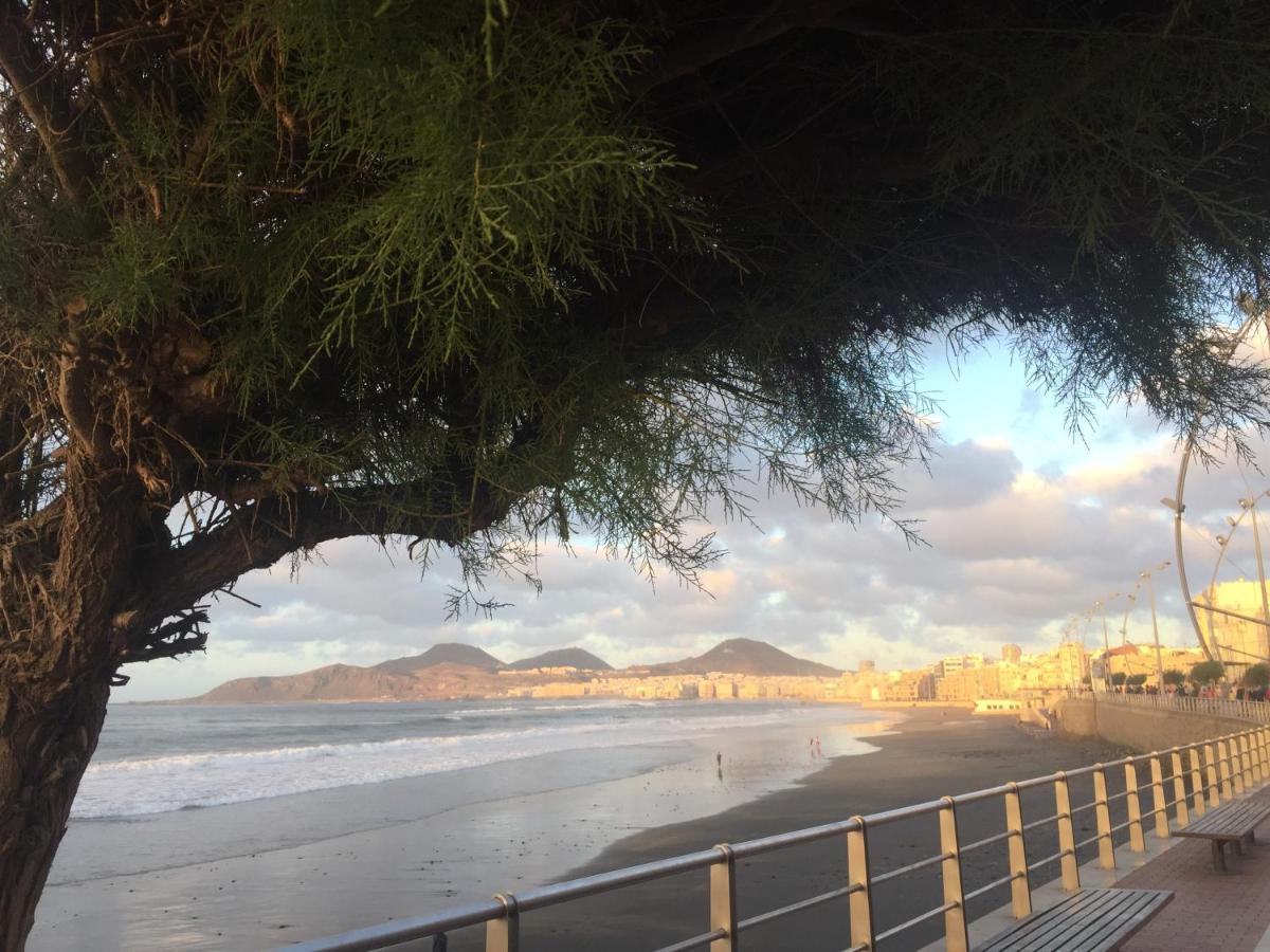 Las Canteras Beach لاس بالماس دي غران كاناريا المظهر الخارجي الصورة